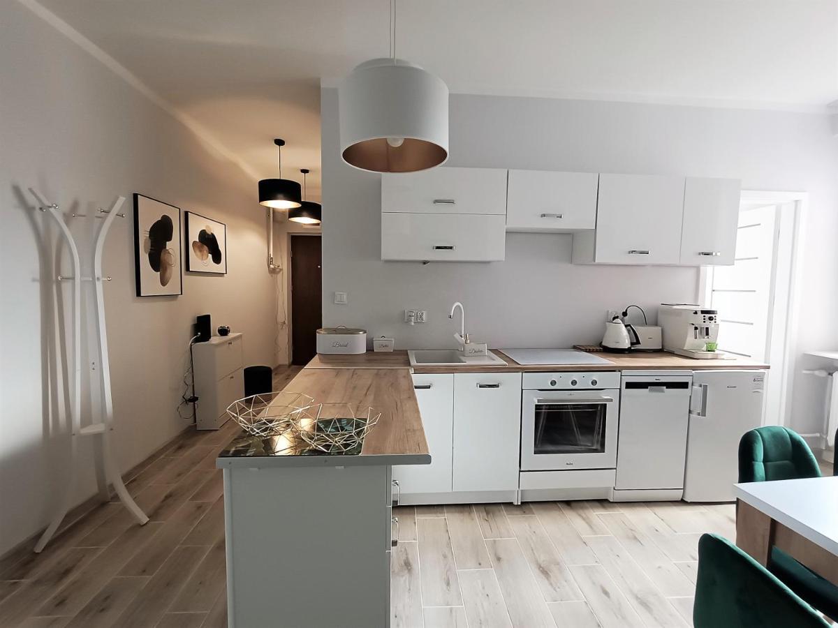 Szmaragdowy Apartament Przy Ulicy Opolskiej Тарновске-Гуры Экстерьер фото