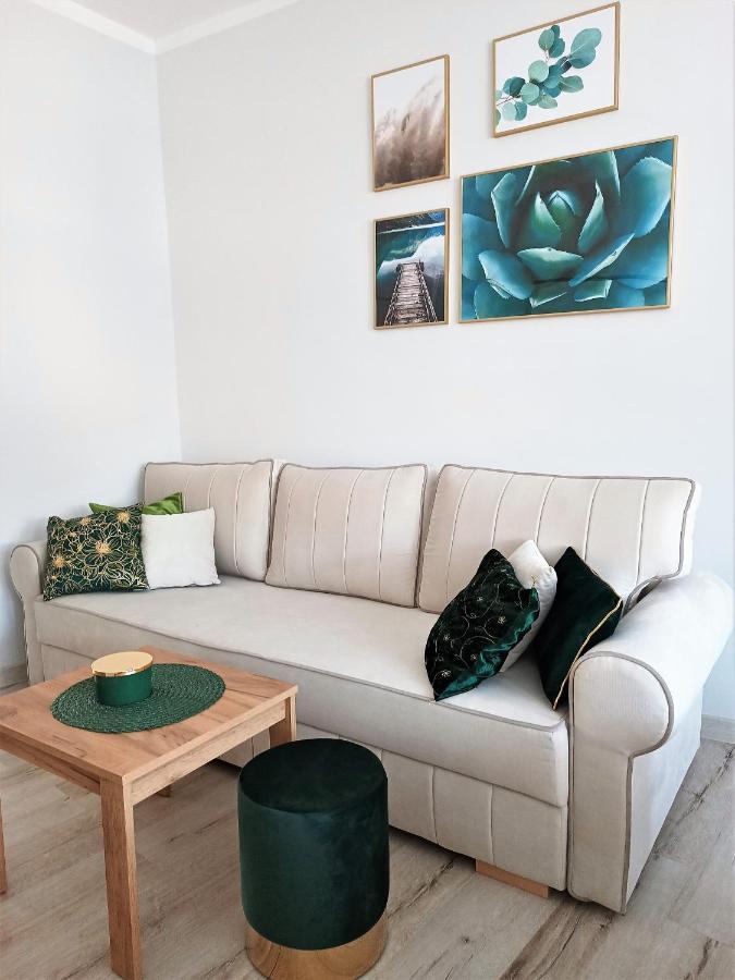 Szmaragdowy Apartament Przy Ulicy Opolskiej Тарновске-Гуры Экстерьер фото