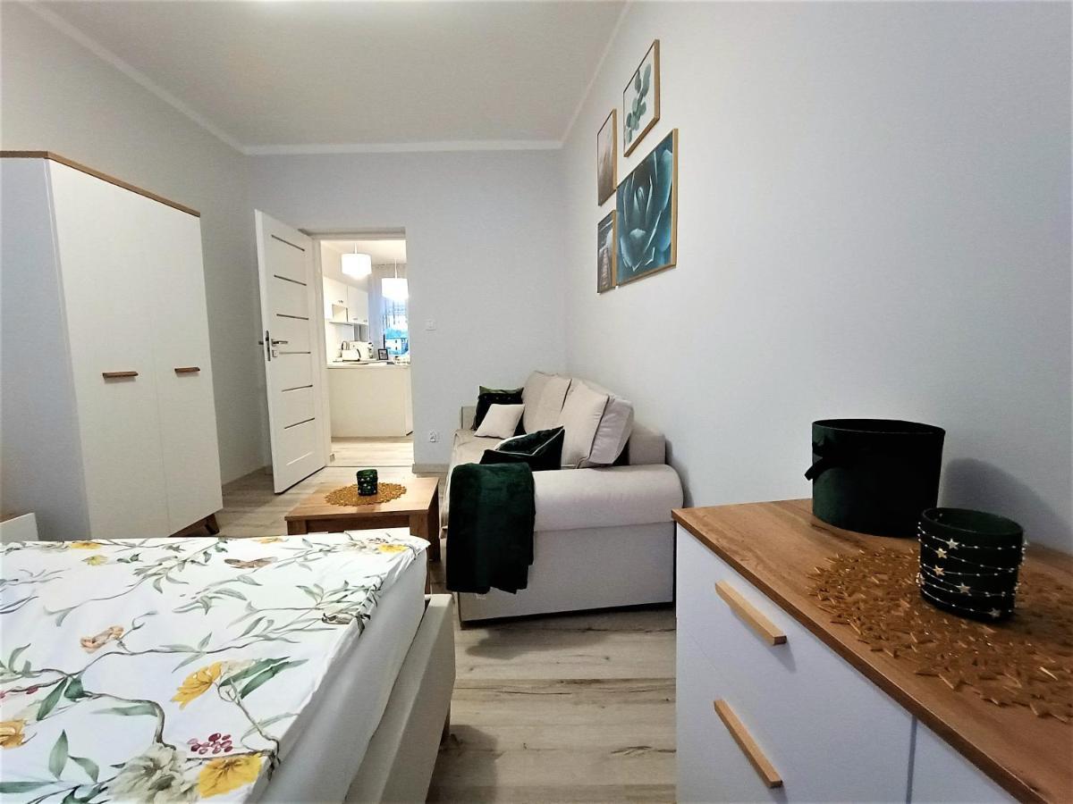Szmaragdowy Apartament Przy Ulicy Opolskiej Тарновске-Гуры Экстерьер фото