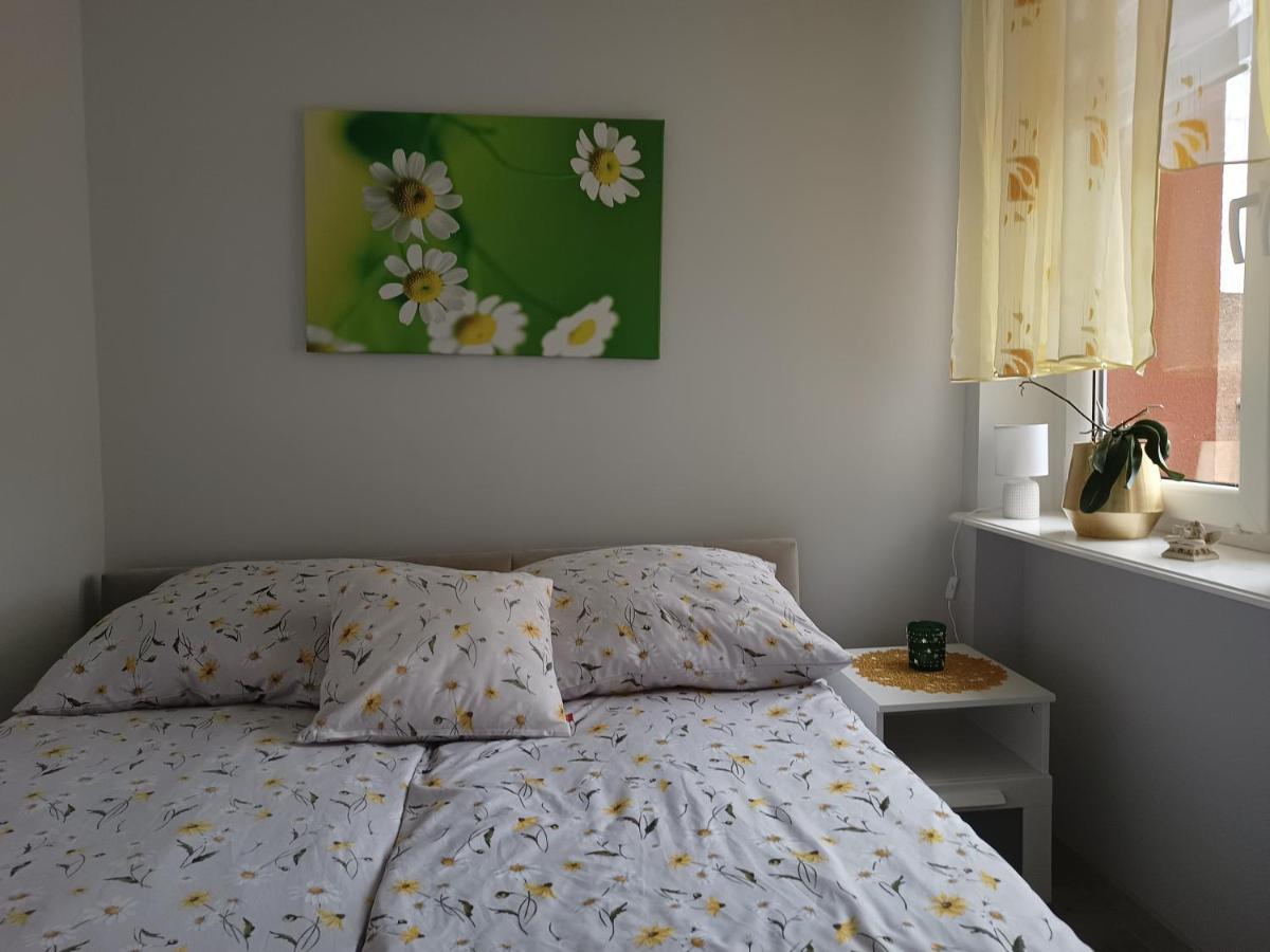 Szmaragdowy Apartament Przy Ulicy Opolskiej Тарновске-Гуры Экстерьер фото