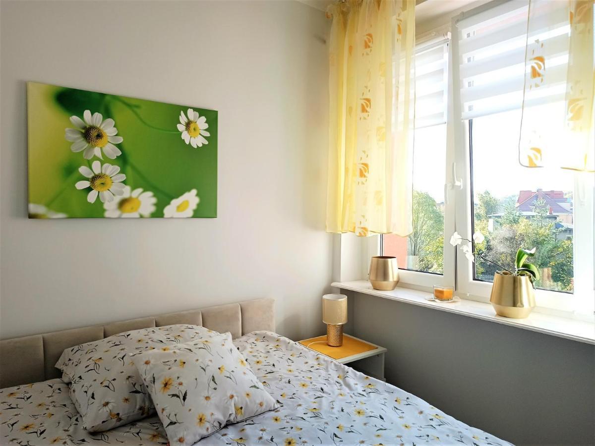 Szmaragdowy Apartament Przy Ulicy Opolskiej Тарновске-Гуры Экстерьер фото